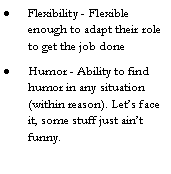 Text Box: Flexibility - Flexible enough to adapt their role to get the job doneHumor - Ability to find humor in any situation (within reason). Let�s face it, some stuff just ain�t funny.